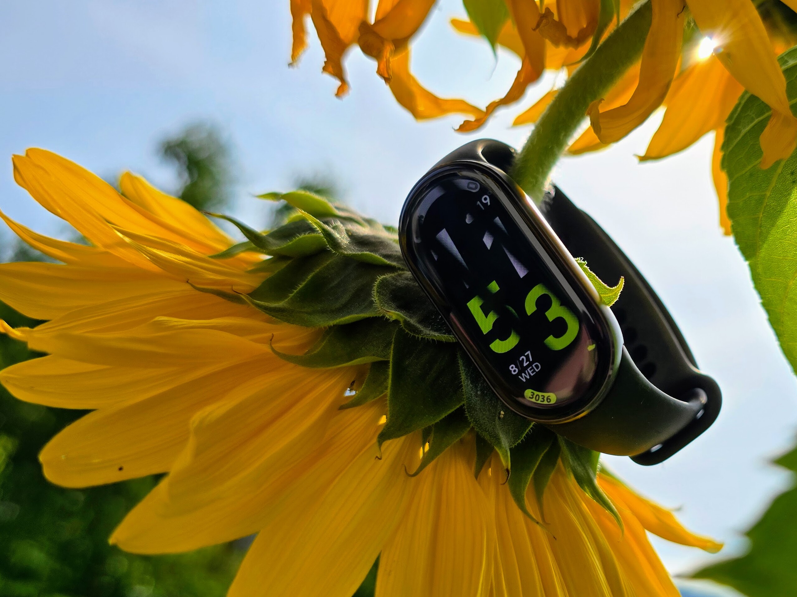 Xiaomi Smart Band 10 - Montre Connectée