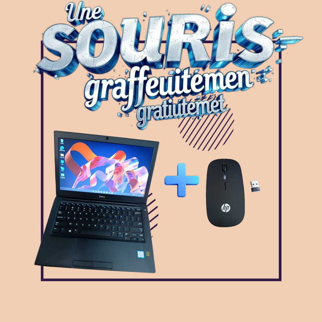DELL LATITUDE 7290 core i5 8ème génération 8/256GB