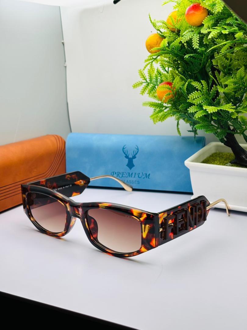 Lunettes de soleil Premium