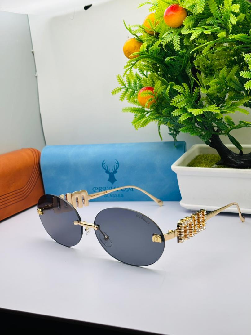 Lunettes de soleil Premium