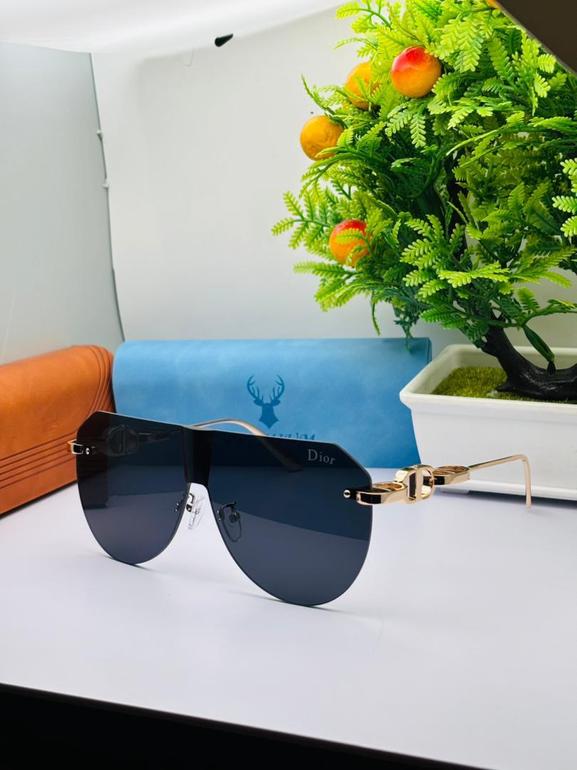 Lunettes de soleil Premium