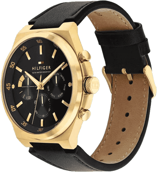 Tommy Hilfiger Dexter (modèle 1792086)